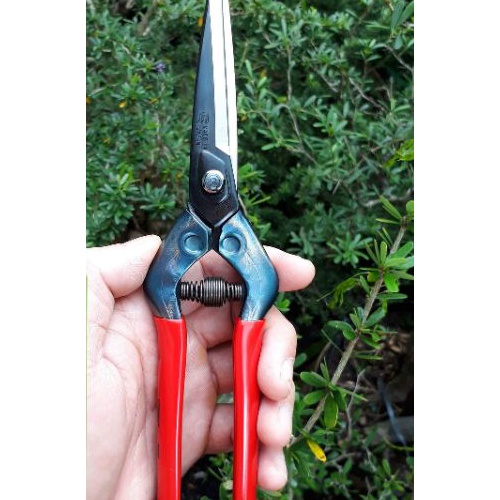Kéo cắt cành cao cấp Nhật bản Chikamasa T-7C, chiều dài lưỡi 63mm, lưỡi thép carbon chất lượng cao siêu bén