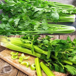 Hạt giống rau cần tây chịu nhiệt gói 3gram