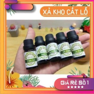 Xoaistore tinh dầu eco oil 10ml