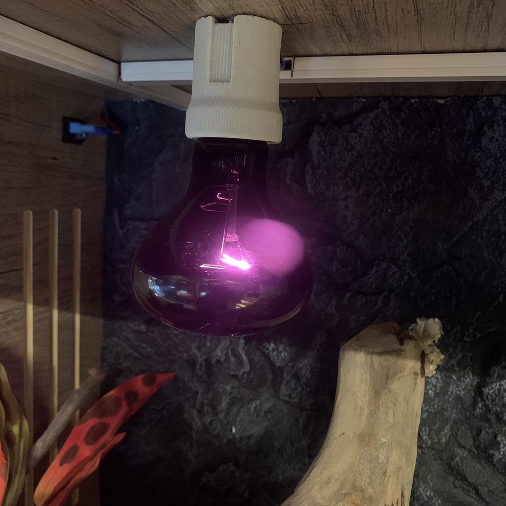 Đèn sưởi đêm dành cho thú cưng bò sát | Vietpetgarden