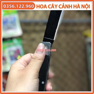 Dao ghép cành cán gập lưỡi đen cao cấp