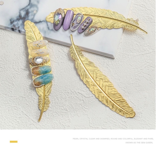 Lông chim chụp ảnh móng mẫu