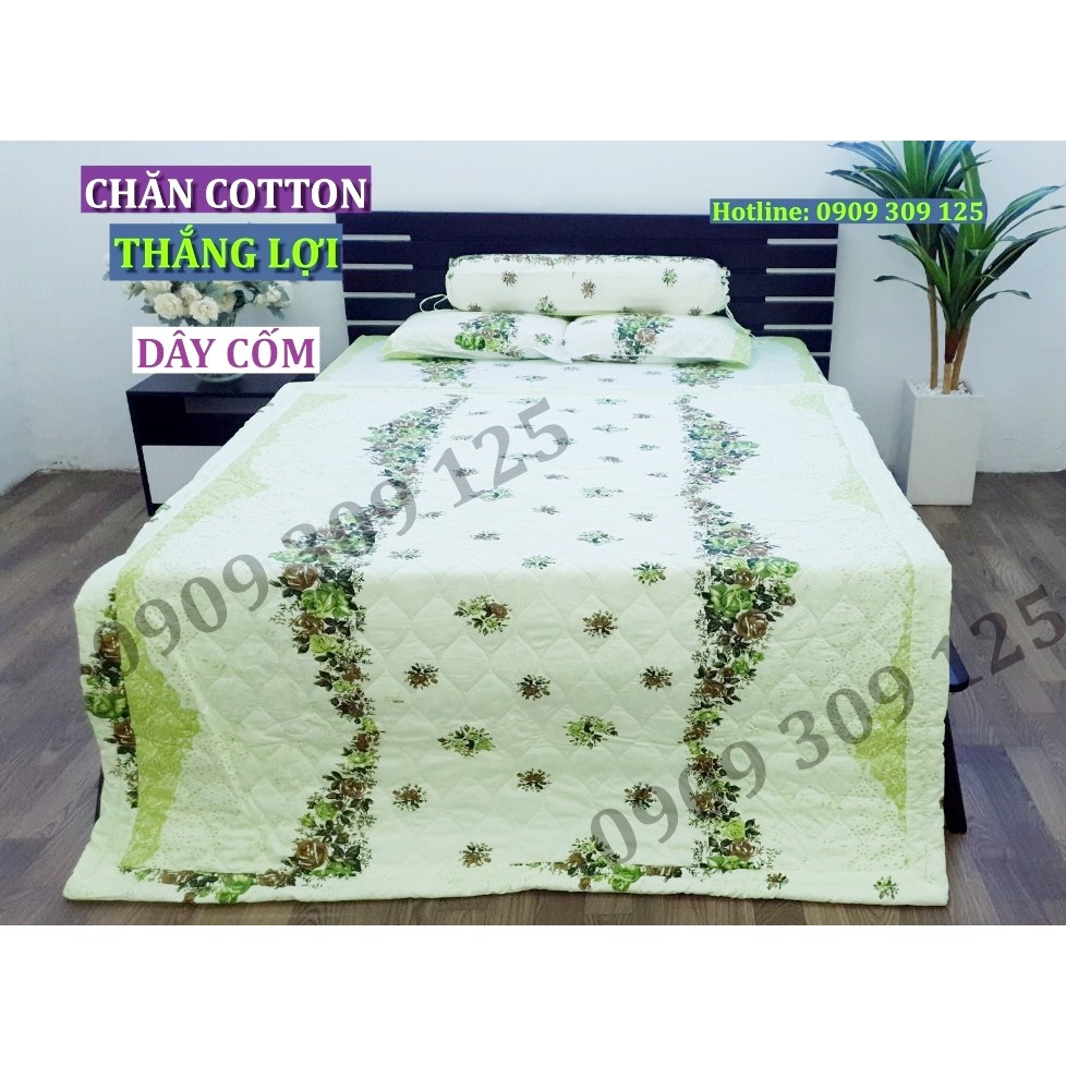 Bộ drap(4 món) cotton Thắng Lợi, ga giường chính hãng, dây cốm (hình thật)
