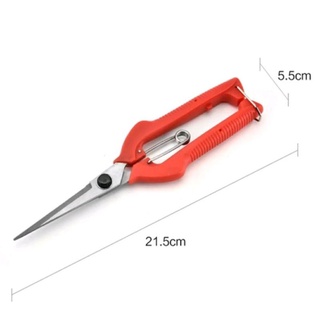 Kéo Cắt Tỉa Cành Cây Chuyên Dụng Có Khoá - Mũi Nhọn Lưỡi Dài Cán Đỏ