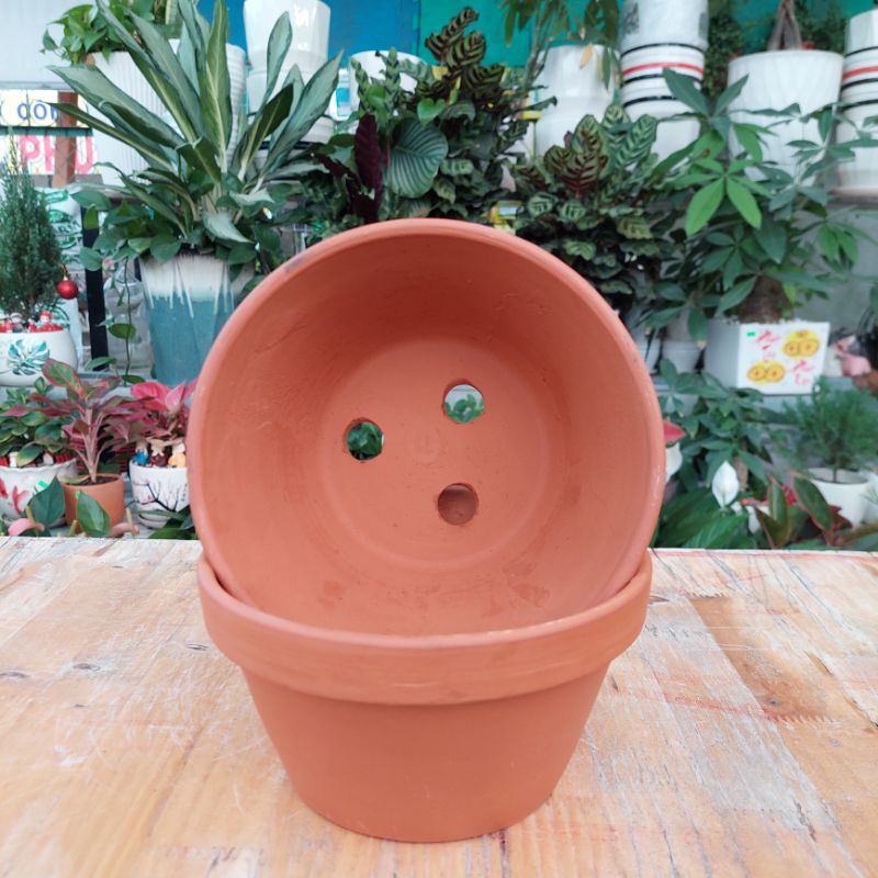 Chậu đất nung, Chậu sen đá - Thau 3 lỗ, miệng 17cm, chiều cao 9cm