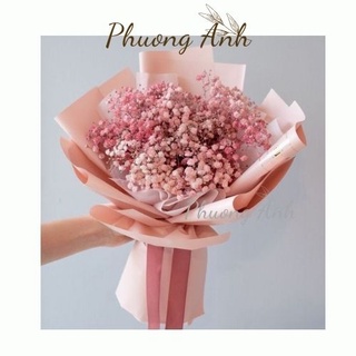 Hoa khô Baby ướp bất tử - Hoa làm quà tặng, decor trang trí nhà cửa, phòng ngủ, thủ công