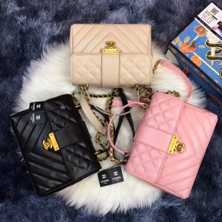 Túi bì thư da kì nhông