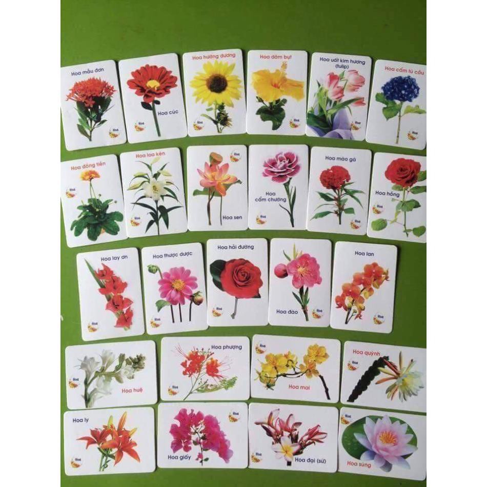 Bộ thẻ học thông minh 16 chủ đề cho bé - Bộ thẻ học flashcard 16 chủ đề 416 thẻ song ngữ Anh Việt