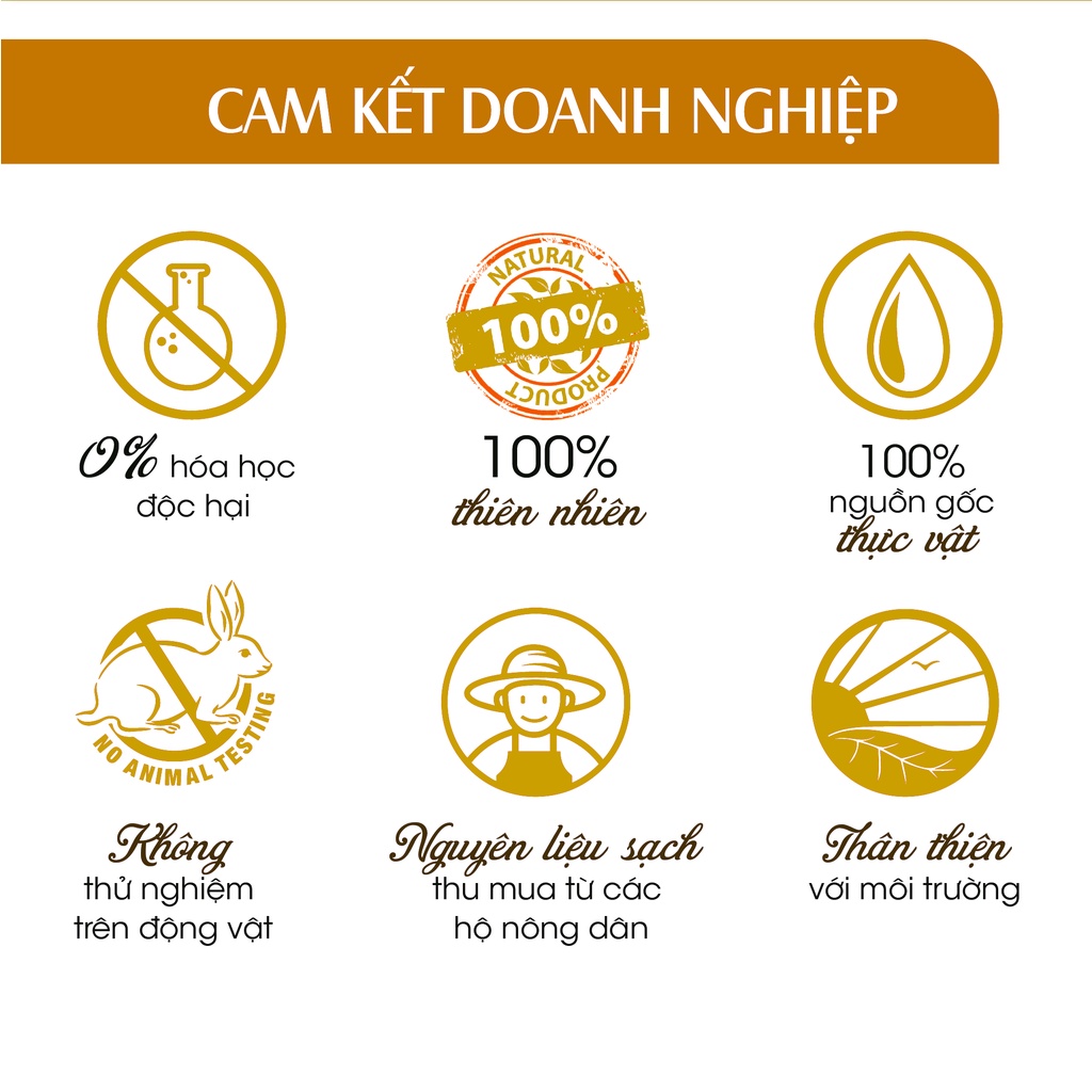 Tinh dầu xá xị nguyên chất Mocotics dung tích 10ml,30ml,50ml giúp khử mùi và làm thơm phòng, oto hiệu quả