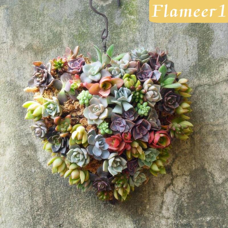 1] Vòng Sắt 26cm Tự Làm Chậu Hoa Trang Trí Tường