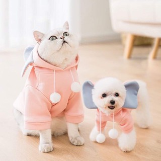Áo xinh xắn cho thú cưng