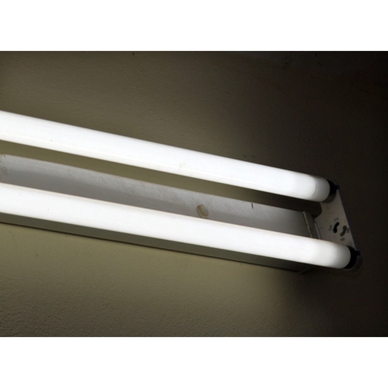 Bóng đèn huỳnh quang T8, T10 Philips, Điện Quang 0.6m, ánh sáng trắng - Điện nước gia dụng Hoàng Kim