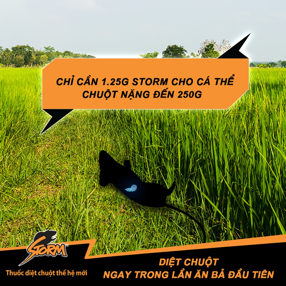 Thuốc diệt chuột Storm (1 gói gồm 20 viên)