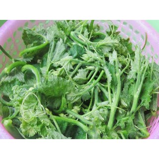 BÍ ĂN NGỌN - 10 gram/ gói