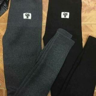 Combo 4 Quần nỉ mèo lót lông