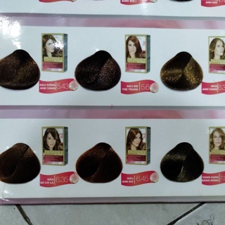 Thuốc Nhuộm Tóc Loreal Exc Creme 172ml (ĐỦ MÀU)