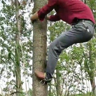 Dụng cụ trèo cây đa năng,Dụng cụ leo cây, thiết bị trèo cây, hái dừa hái quả chịu lực 150kg chống gỉ