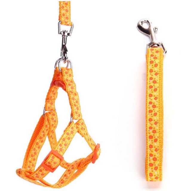 Dây Dắt Chó Mèo Hoạ Tiết 1cm loại Dày Bền Dai