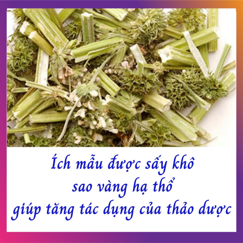 Trà ÍCH MẪU - Điều hòa kinh nguyệt, giảm đau bụng kinh.