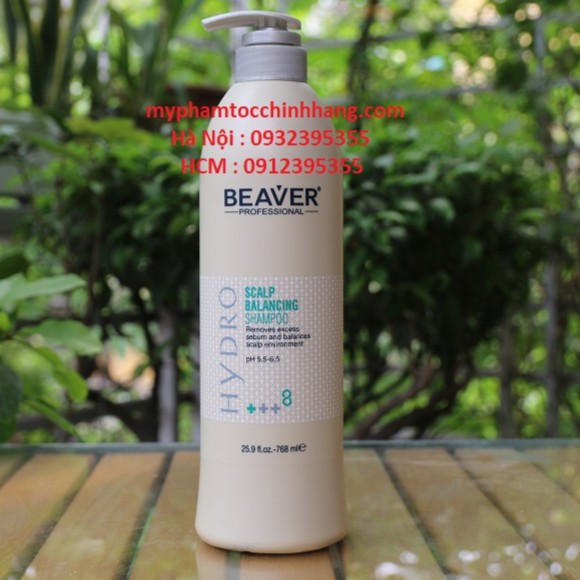 DẦU GỘI CHĂM SÓC ĐẦU BEAVER 768ML