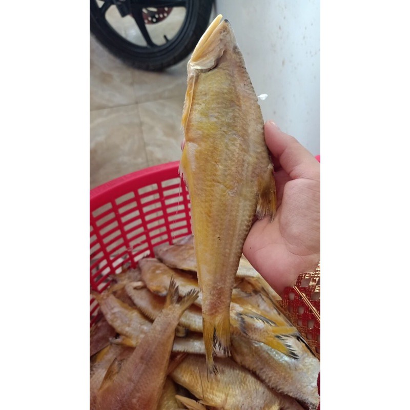 khô cá lẹp vàng
