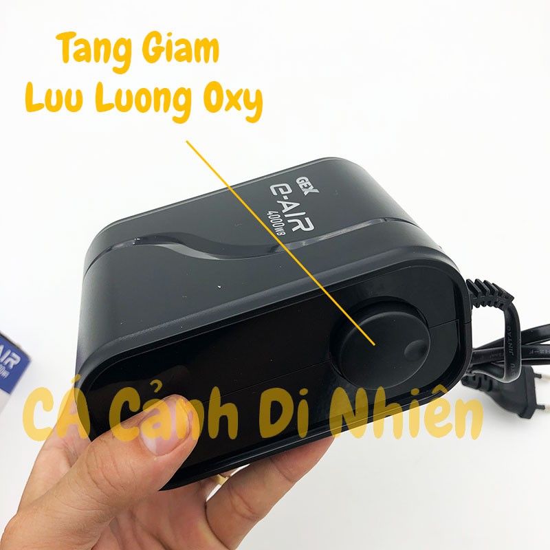 Máy sủi khí Oxy Siêu Êm 2 vòi Gex E-AIR 4000WB cho hồ cá GEX 4000