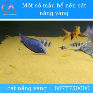 Cát vàng nắng siêu mịn 1kg - nền trang trí bể cá, bể thủy sinh - bể biotop