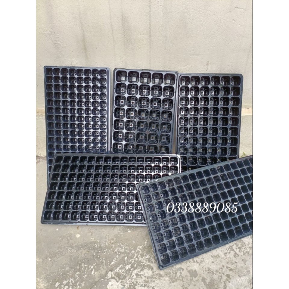 Khay ươm hạt 32 lỗ, 50 lỗ, 72 lỗ, 105 lỗ, 128 lỗ