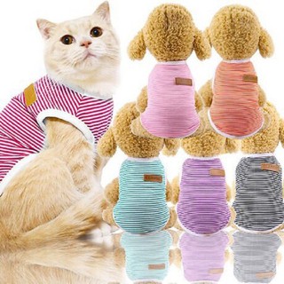 Shop.haitam Áo kẻ cho mèo