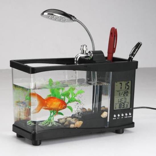 Hồ cá mini để bàn Free ship đồ chơi phong thủy cho bạn không gian thư giãn trong căn phòng của mình