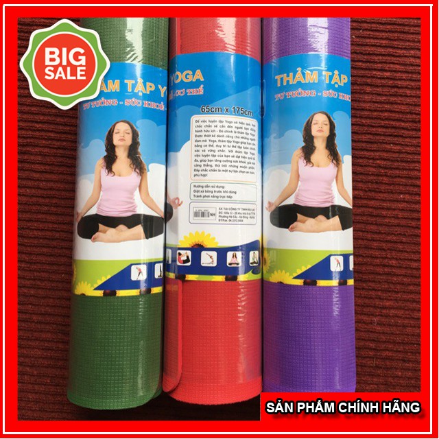 Thảm Tập Yoga Âu LẠc Chính Hãng, Chất Dẻo Mềm Chống Thấm Tốt