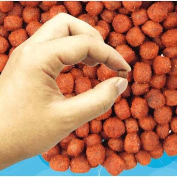 Mồi cá dạng viên cám dễ sử dụng hàng sale bão mạnh đồ câu FISHING_HD