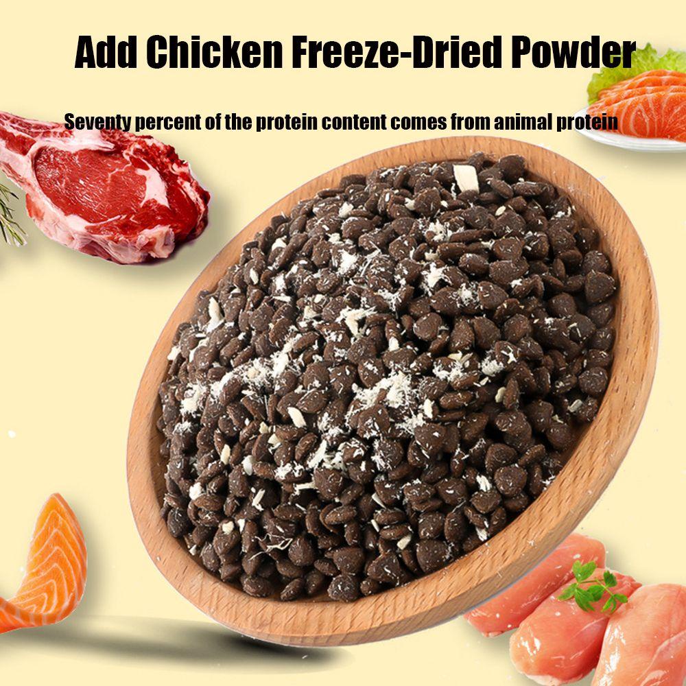 Hộp Thức Ăn Cho Mèo ZAIJIE24 1.5KG Cân Bằng Nuôi Dưỡng