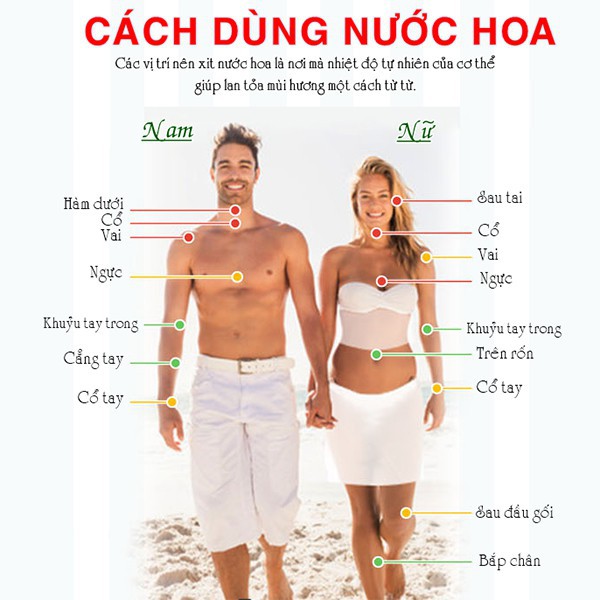 Bộ 10 Lọ Nước Hoa Vial Chiết Pháp Size 3ml | BigBuy360 - bigbuy360.vn