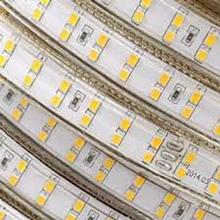 Đèn Led dây đôi 2835 siêu sáng 2 hàng ( Đơn giá / 1 mét )
