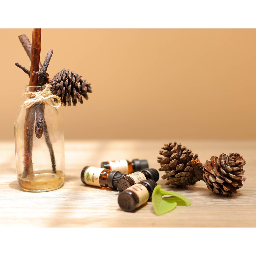 Tinh Dầu Thiên Nhiên Gỗ Thông NAVIE