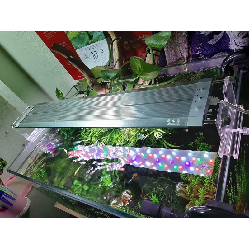 ĐÈN THUỶ SINH WEEK RAPTOR WRGB V300 V400 V450 V500 V600 V800 V900 V1200