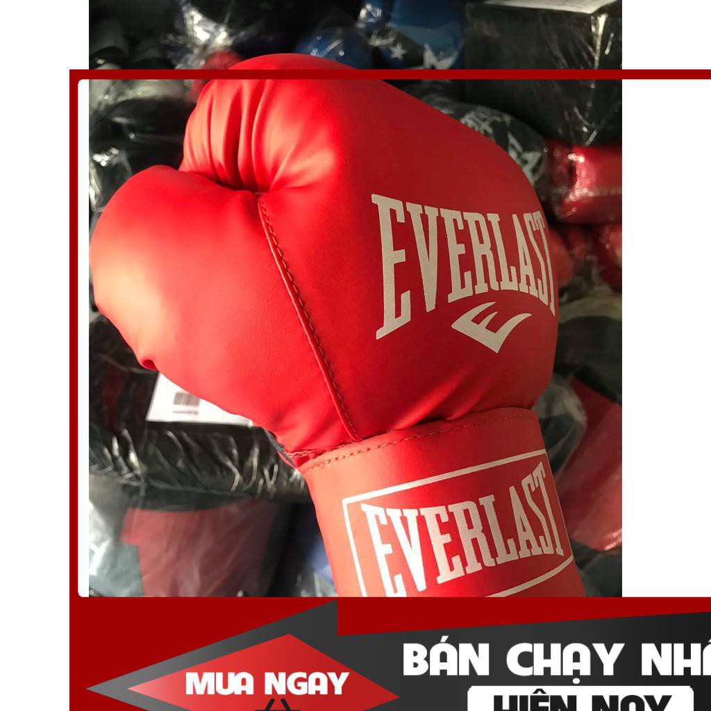 FreeShip  Dụng Cụ Võ Thuật Chính Hãng Găng boxing Everlast 10Oz Khuyến Mãi