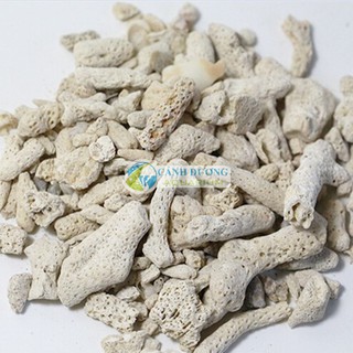 San hô vụn lọc hồ cá
