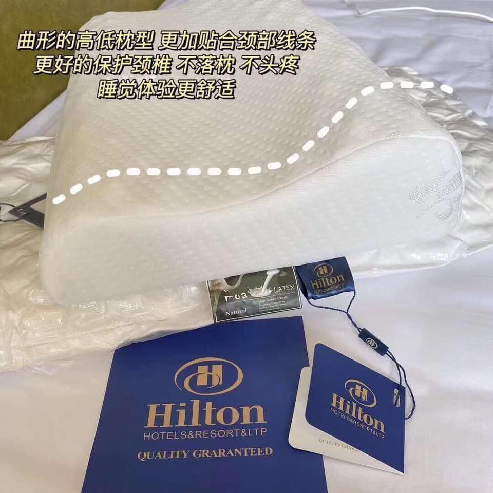 GỐI CAO SU NON HILTON ( KT 35*55CM )_CÓ TÚI ĐI KÈM XỊN XÒ