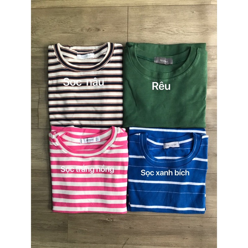 ÁO TAY NGẮN BODY ( 20 màu) | BigBuy360 - bigbuy360.vn