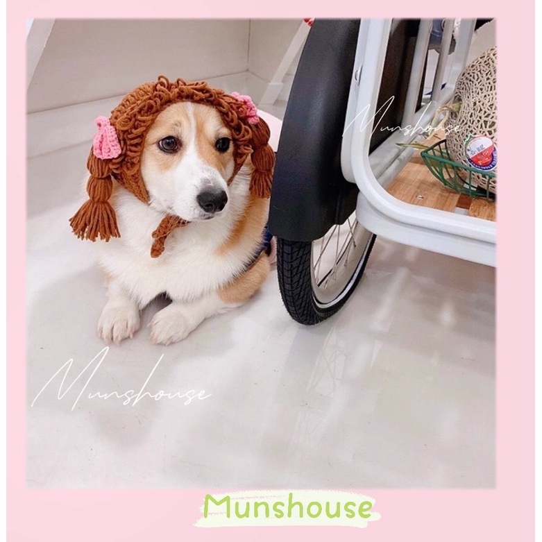 Mũ len cô gái tóc vàng tóc nâu cho chó mèo