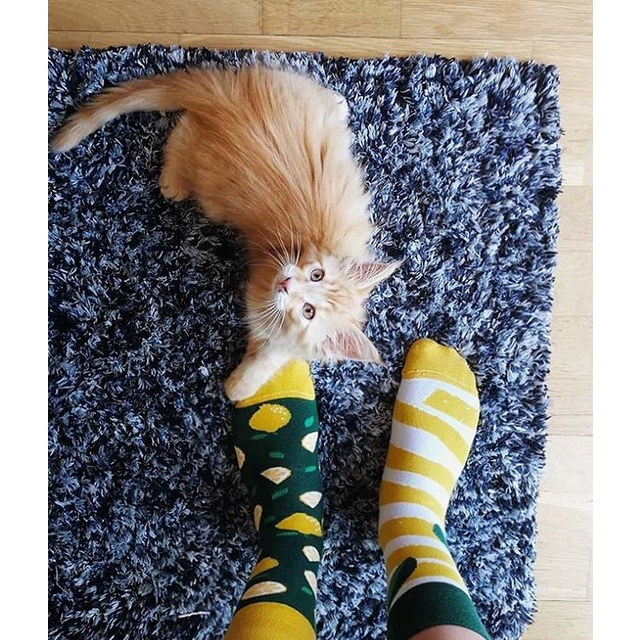 TẤT(VỚ) NAM NỮ MixMatched Sock hoạt hình họa tiết LEMONS