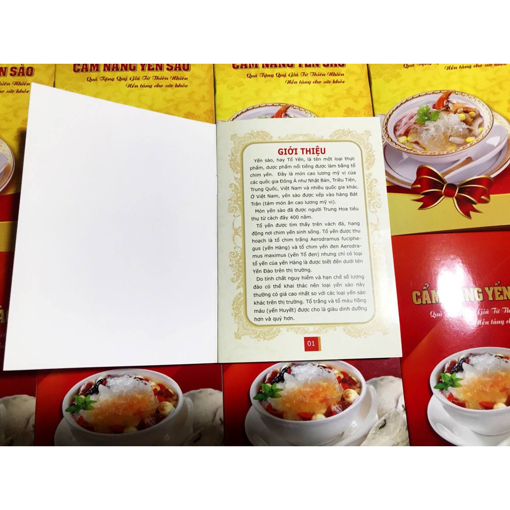 10 CUỐN CẨM NANG YẾN SÀO 16 TRANG LUÔN BÌA | BigBuy360 - bigbuy360.vn