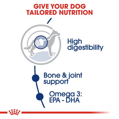 10kg - Hạt Maxi Adult Royal Canin dành cho Chó trưởng thành giống lớn nặng 26 - 44kg