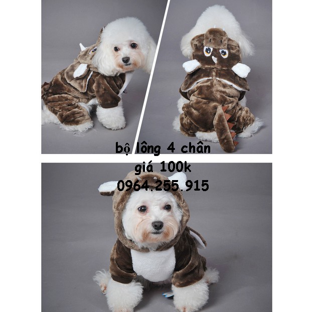 áo lông (sale, hàng đẹp, shop giao mẫu ngẫu nhiên)