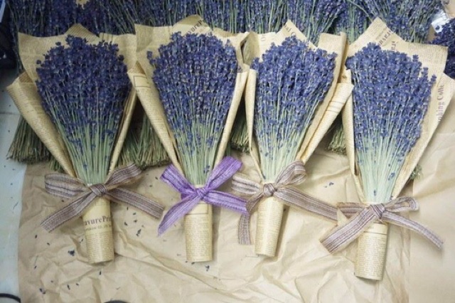 Lavender-hoa khô-quà tặng- sỉ-lẻ-tiệm hoa family flowers