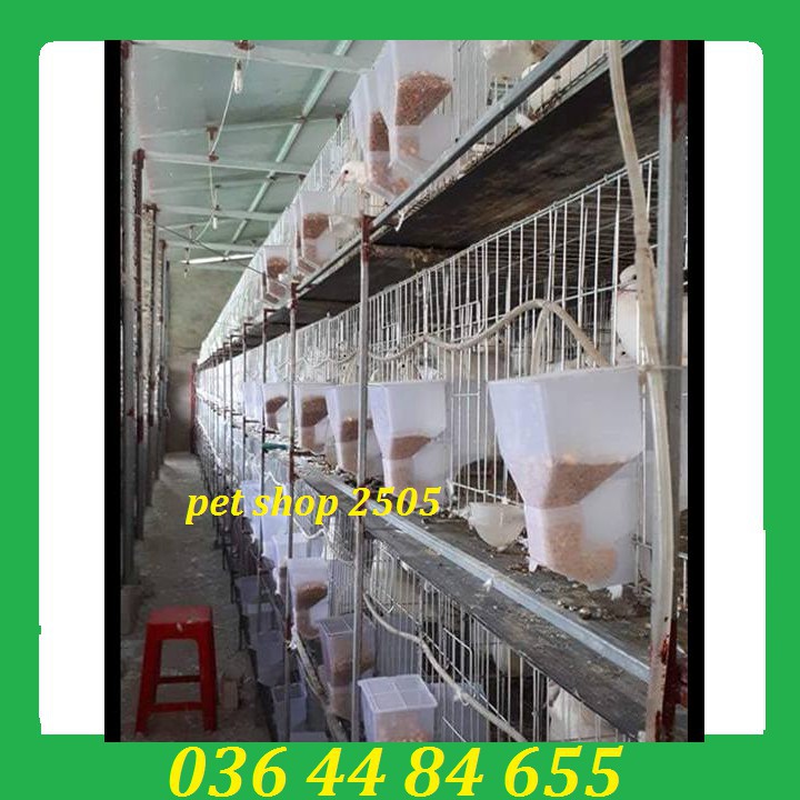 Lồng Nuôi Chim Bồ Câu  Chuồng Bồ Câu Kèm Khay Hứng Phân