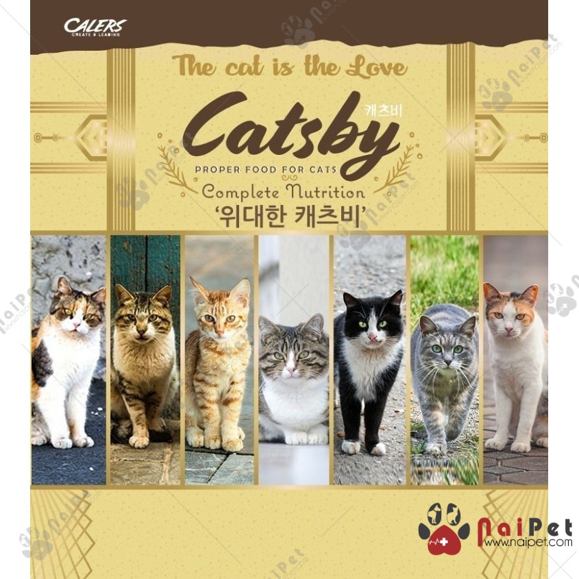 Thức Ăn Hạt Dành Cho Mèo Ở Mọi Lứa Tuổi Catsby Túi 5kg
