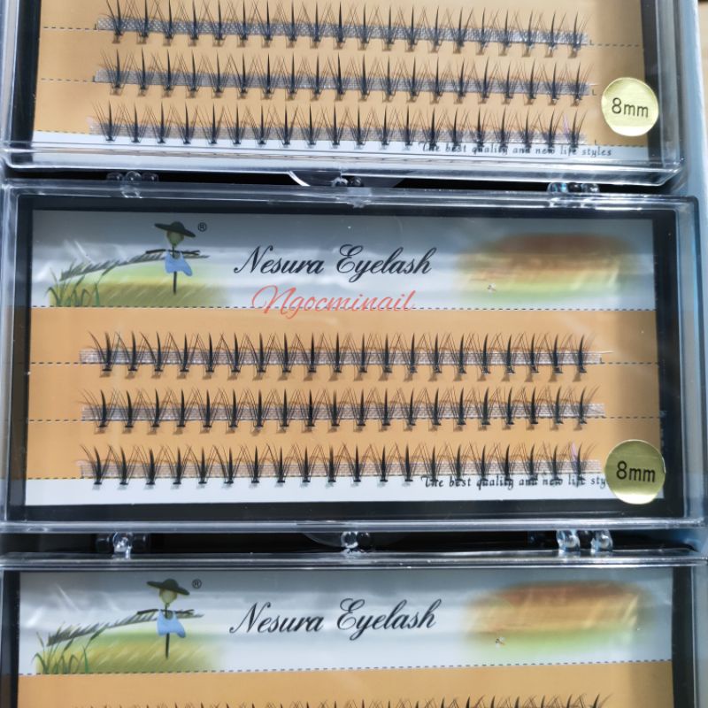 Mi chùm katun tự nối mi tại nhà